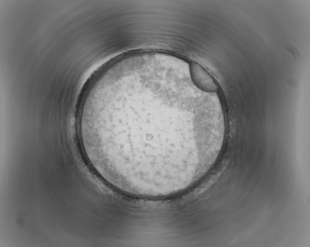 X0000113310928200910131104