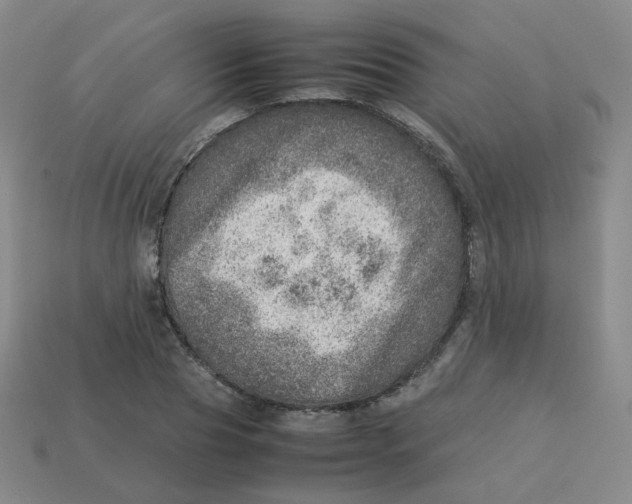 X0000113310929200910131104