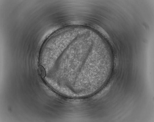 X0000113310930200910131104