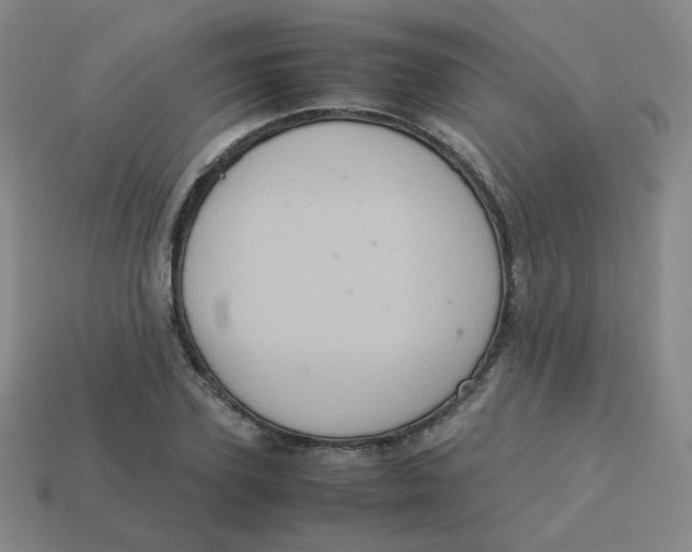 X0000113310931200910131104