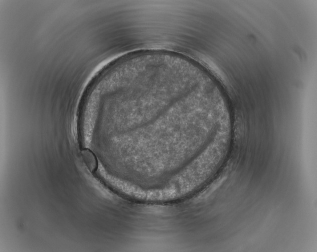 X0000113310932200910131104