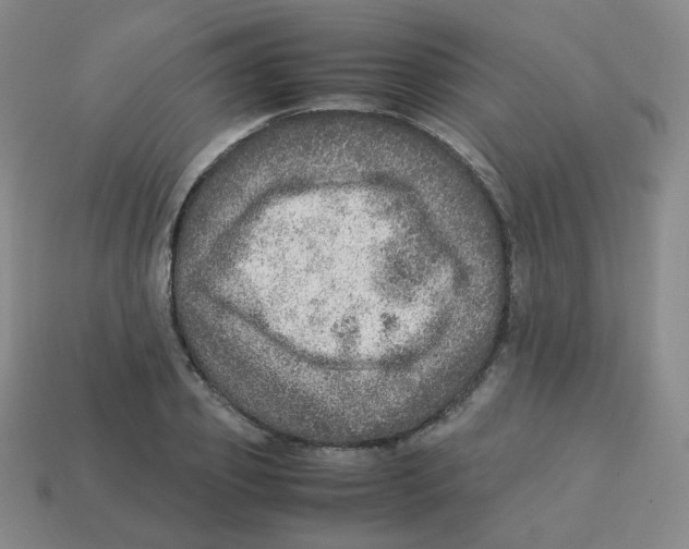 X0000113310933200910131104