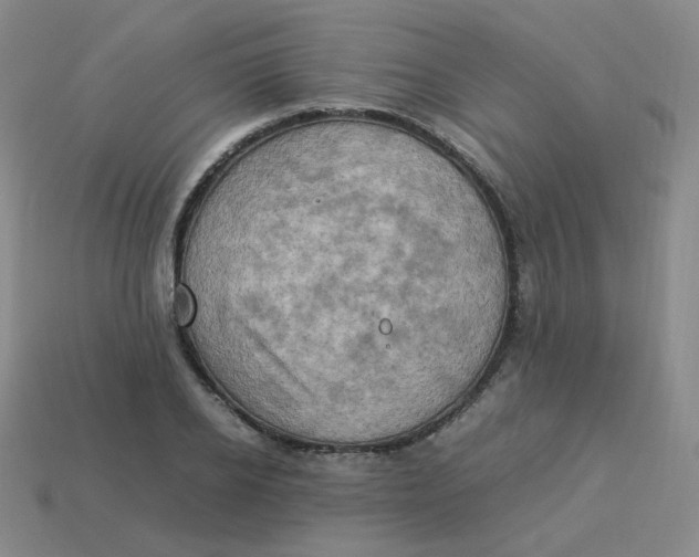 X0000113310934200910131104