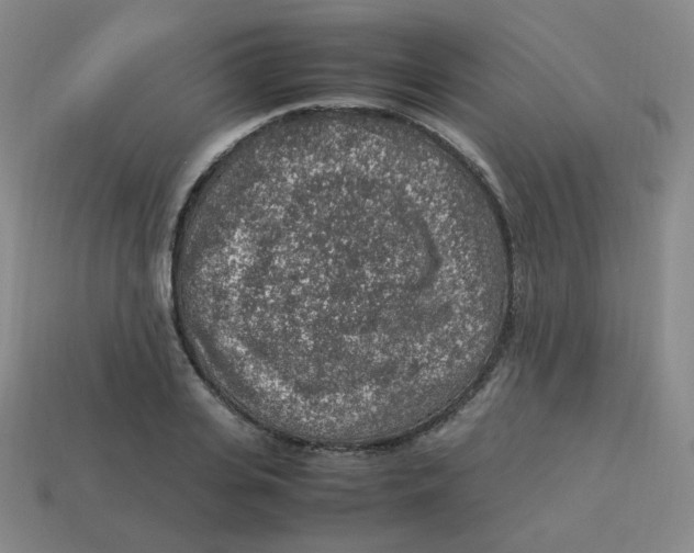 X0000113310935200910131104