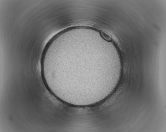 X0000113310936200910131104