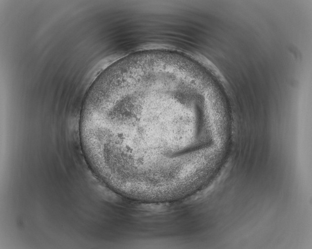 X0000113310937200910131104