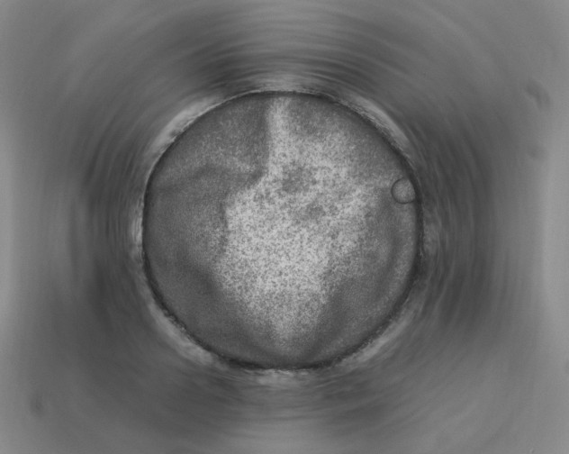 X0000113310938200910131105