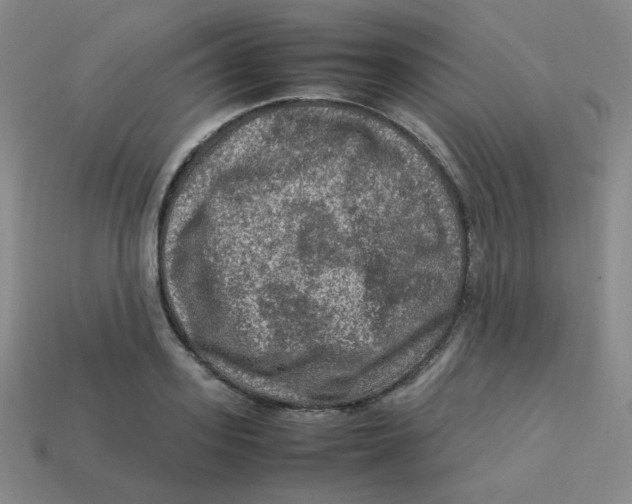 X0000113310939200910131105