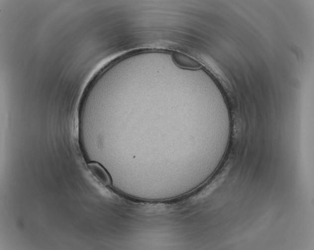 X0000113310940200910131105