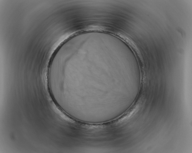 X0000113310941200910131105