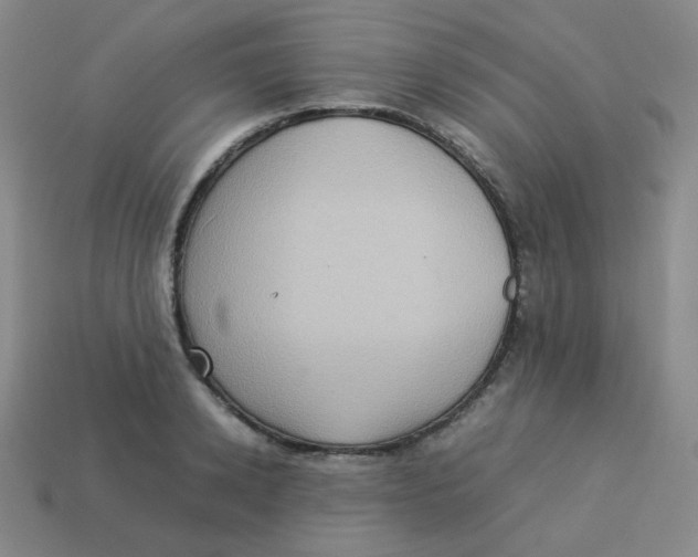 X0000113310942200910131105