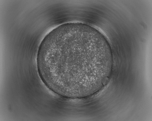 X0000113310943200910131105