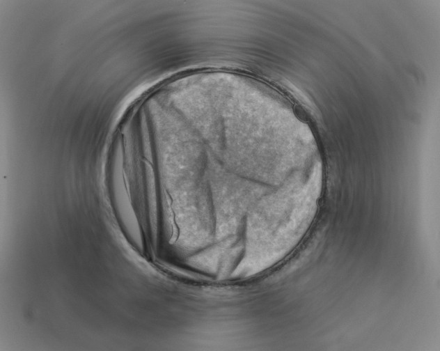 X0000113310944200910131105