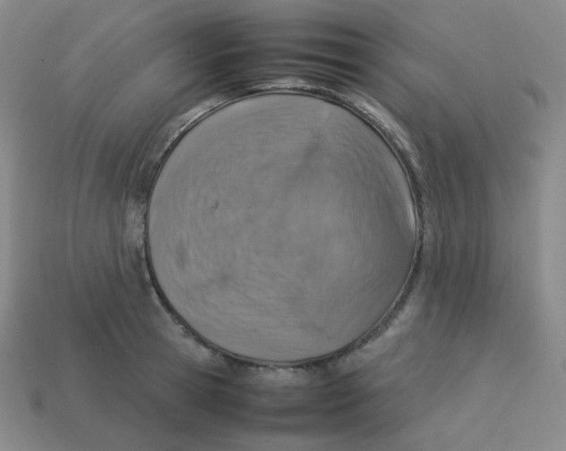 X0000113310945200910131105