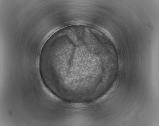 X0000113310946200910131105