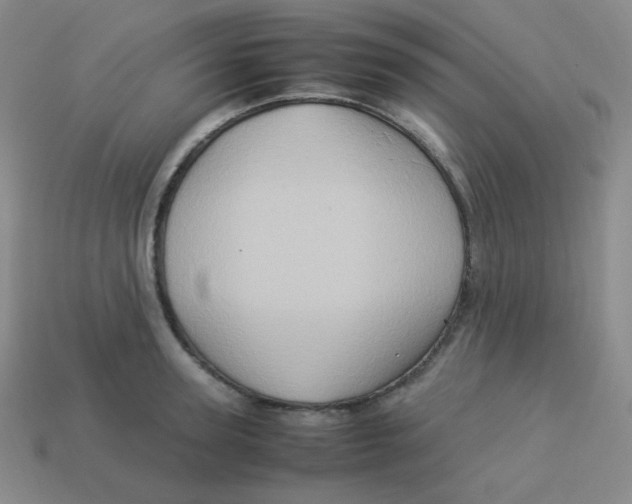 X0000113310947200910131105