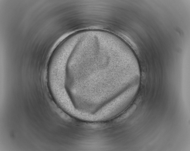 X0000113310948200910131105