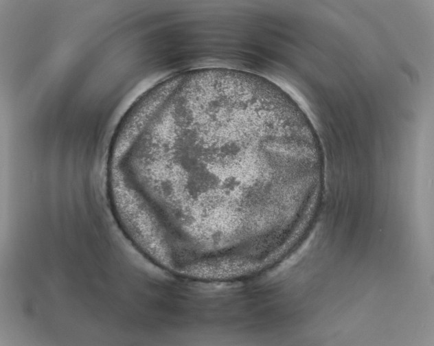 X0000113310949200910131105