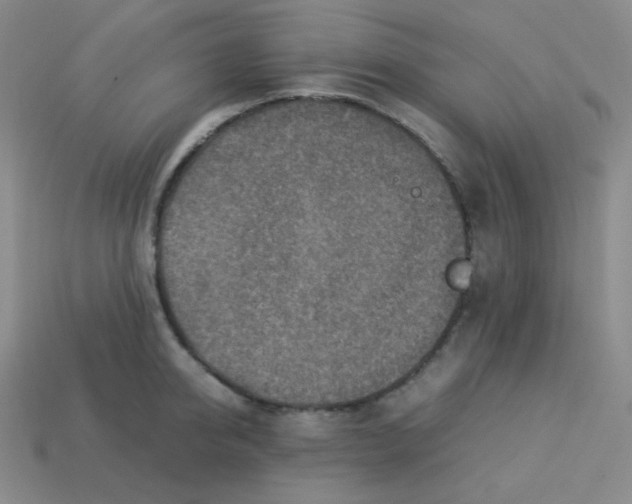 X0000113310950200910131105