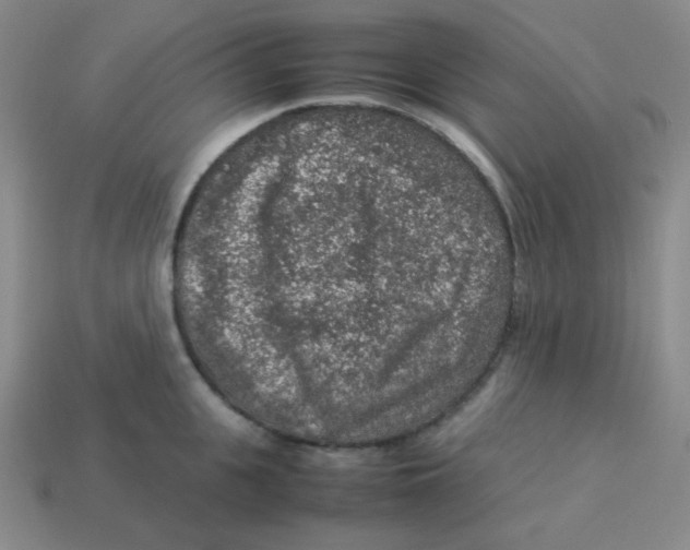 X0000113310951200910131105