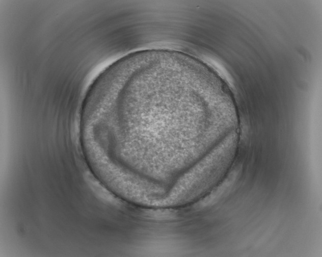 X0000113310952200910131105