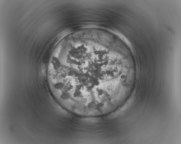 X0000113310953200910131105