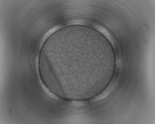 X0000113310954200910131105