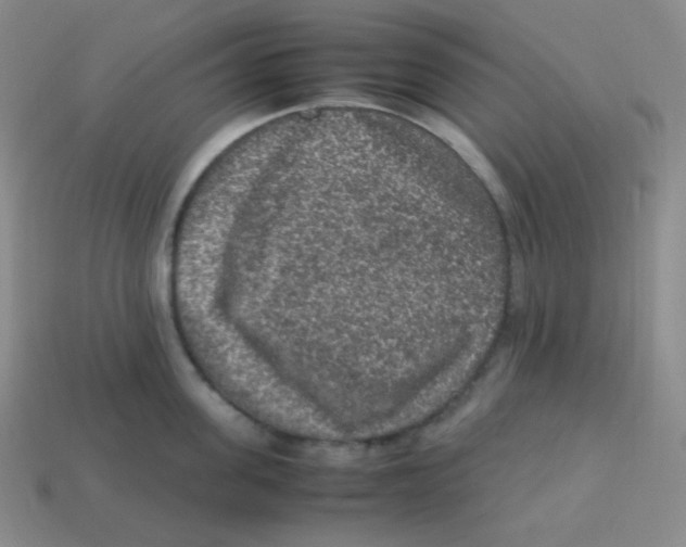 X0000113310955200910131105