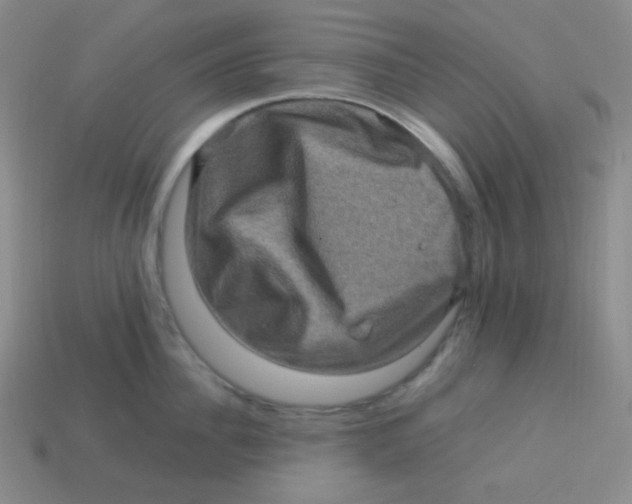 X0000113310956200910131105