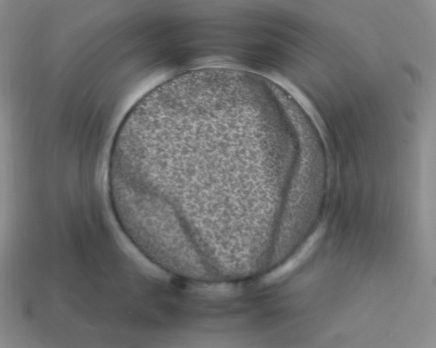 X0000113310957200910131105