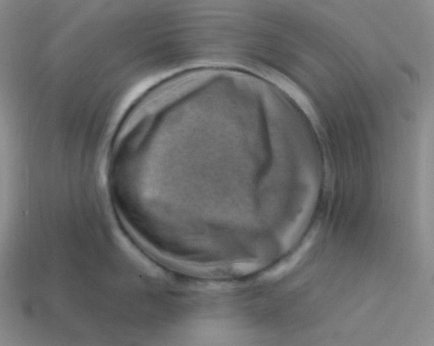 X0000113310958200910131105