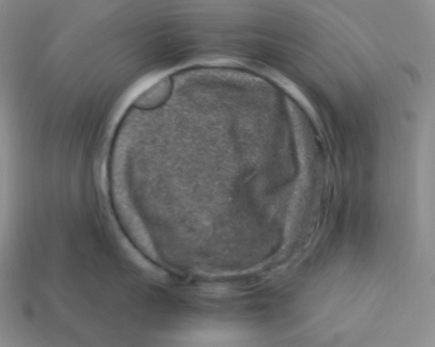 X0000113310959200910131105