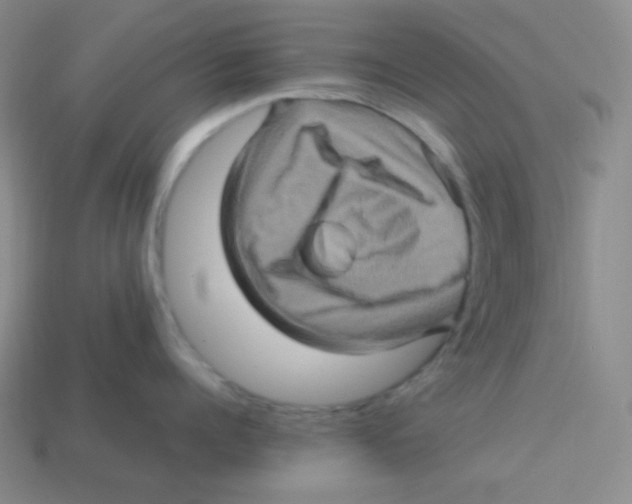 X0000113310960200910131105