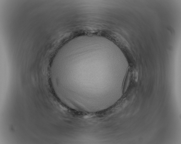 X0000113310961200910131104