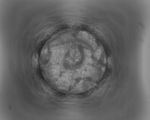 X0000113310963200910131104