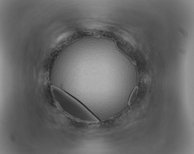 X0000113310965200910131104