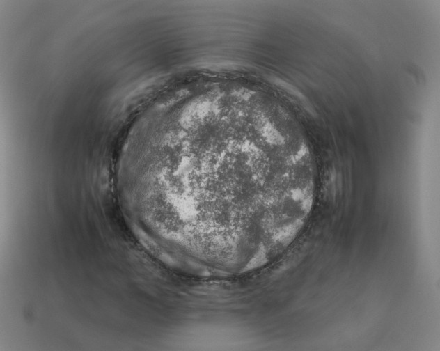 X0000113310966200910131104