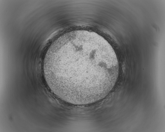 X0000113310968200910131104