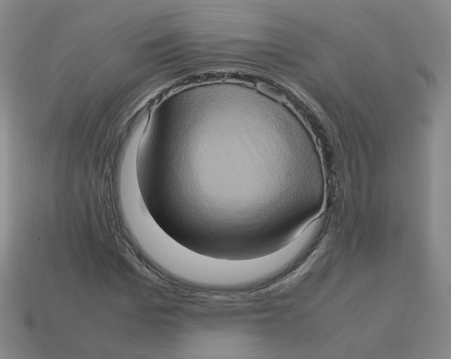 X0000113310969200910131104