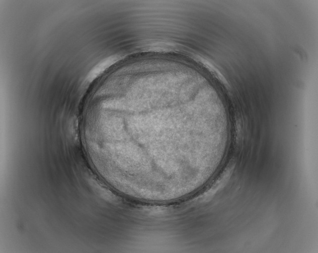 X0000113310970200910131104