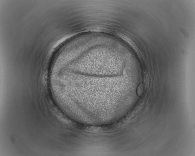 X0000113310971200910131104