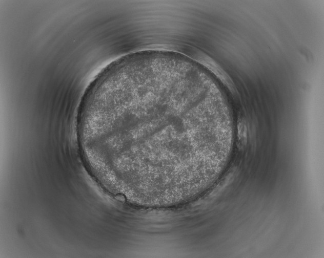 X0000113310972200910131104