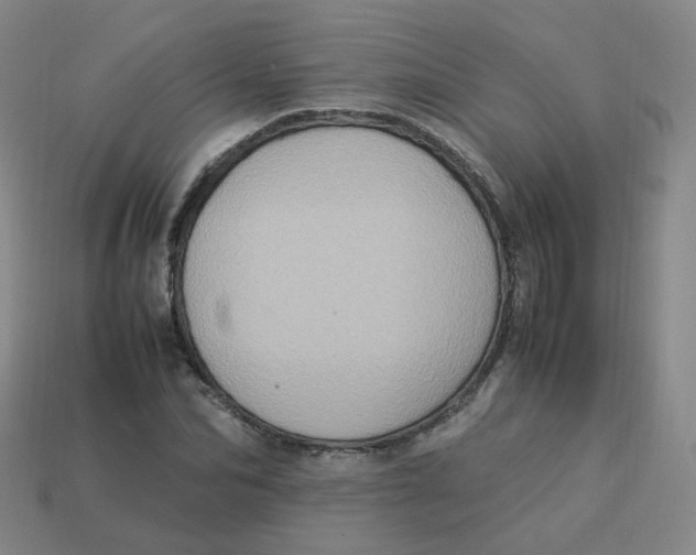 X0000113310974200910131104