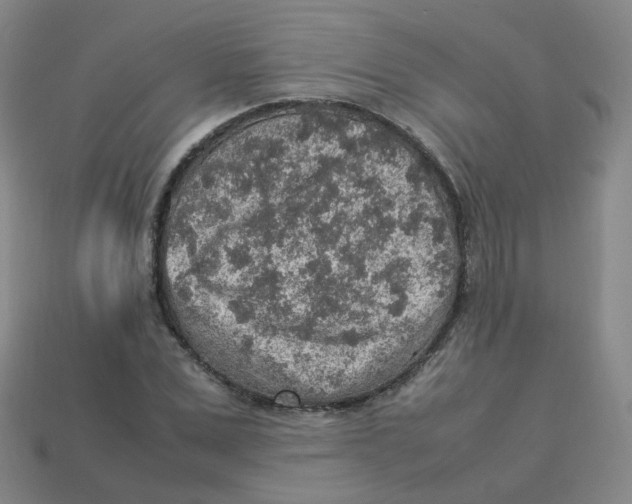 X0000113310975200910131104