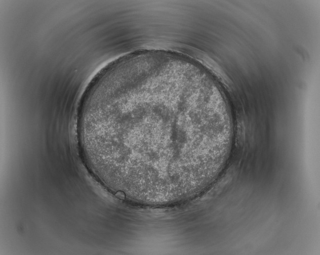 X0000113310976200910131104