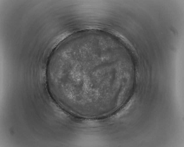 X0000113310977200910131104