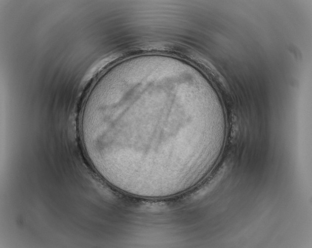 X0000113310978200910131104