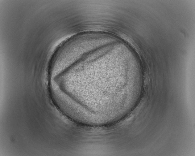 X0000113310979200910131104