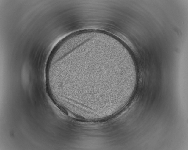 X0000113310980200910131104