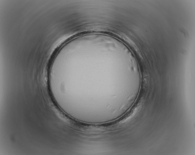 X0000113310981200910131104